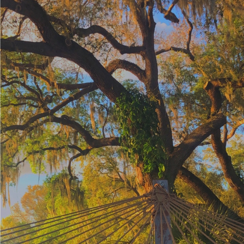 Meet your Posher, Varvara